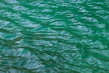 Wavelets in the Plitvice lakes NP Croatia