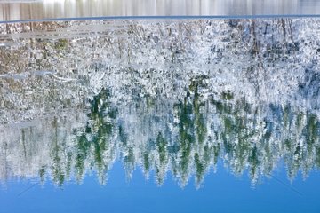 Reflection on a lake at Plitvice lakes NP Croatia