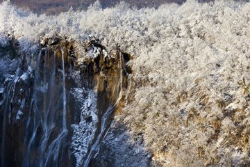 Forest and waterfalls in winter Plitvice lakes NP Croatia