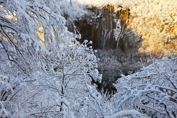 Forest and waterfalls in winter Plitvice lakes NP Croatia