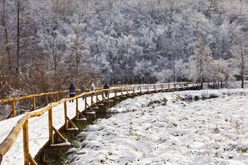 Boardwalk under the snow at Plitvice lakes NP in Croatia