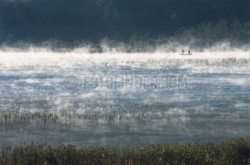 Morning mist over the Lake Ilay Jura France