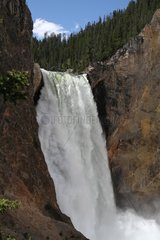 Cascade of the Yellowstone River in Yellowstone NP USA