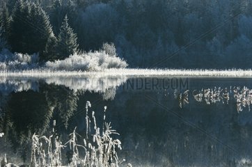 Ice on the lake and reflect Ilay Jura France