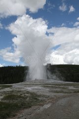 Old Faithful geyser in Yellowstone NP USA