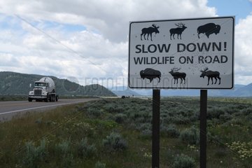 Warning sign of wildlife crossing USA
