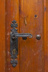 Praying mantis on an old door