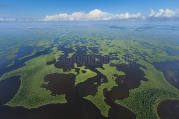 Aerial view of the Everglades National Park in Florida USA