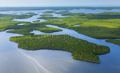 Aerial view of the Everglades National Park in Florida USA
