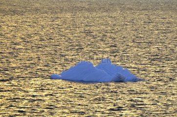 Iceberg drifting in summer Antarctic Weddell Sea