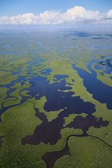 Aerial view of Everglades National Park Florida USA