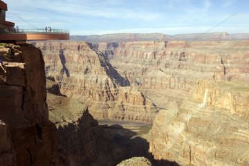 From the West Rim Skywalk Grand Canyon Arizona USA