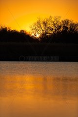 Sunset on a pond - Camargue France