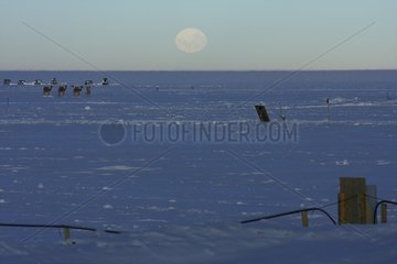 Moonrise over a mirage on the Concordia Station Antarctica