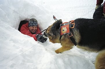 Rescue buried people under avalanche Alps France