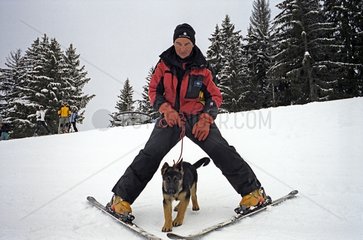 Training a puppy to the mountain rescue Alps