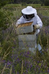 Opening a hive [AT]