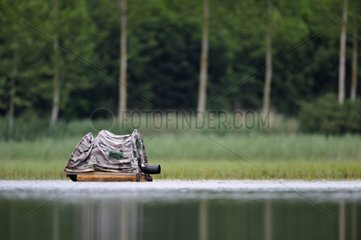 Photographic look floating on a pond Dombes France