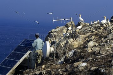 Maintenance of solar panels on the island of Rouzic France