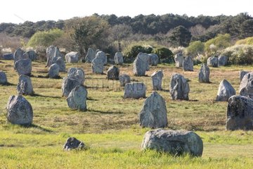 Megalithic alignments of Menec Carnac Brittany France