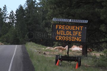 Warning sign of wildlife crossing USA