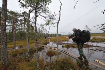 Joining a naturalistic observation hut Finland