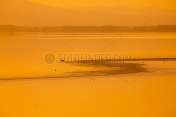 Landscape of Lake Kerkini in Greece at sunset
