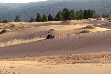 Quad in the dunes Coral Pink Sand Dunes Utah USA