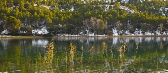 Natural Park lakes Ruidera La Mancha Spain