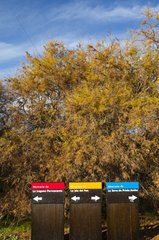 Colored panels National Park Las Tablas de Daimiel Spain
