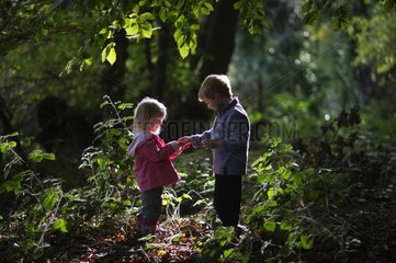 Children playing in woodland in autumn Norfolk UK