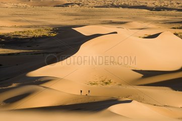 Khongoryn Els sand dunes in southern Gobi Desert Mongolia