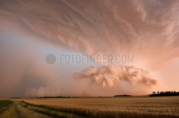 Destructive storm in the evening on a plain cereal France