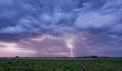 Isolated thunderstorms in the morning on a plain cereal France