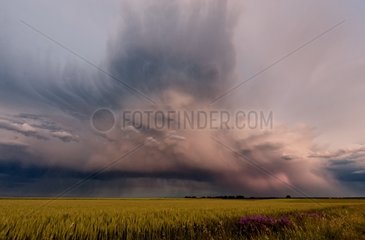 Isolated thunderstorms in the evening on a plain cereal Berry France