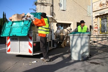 Garbage collection by using horse-drawn Provence France