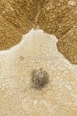 Cracked earth at Bardenas Reales NP in Spain
