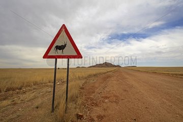Sign indicating the presence of Oryx Namib Desert Namibia