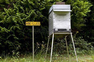 Hive educational Alsace France
