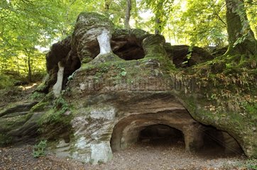 The Cave of the Hermitage to the north west of Dole in the Jura