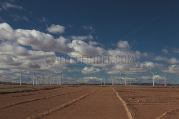 Wind farm Zaragoza Aragon Spain