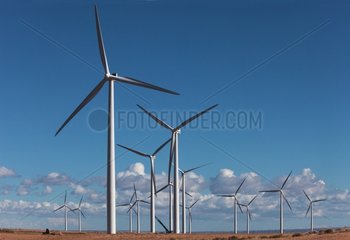 Wind farm Zaragoza Aragon Spain