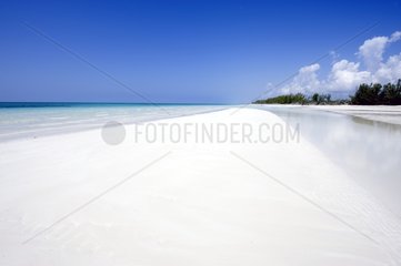 Gold Rock Beach on Grand Bahama Bahamas