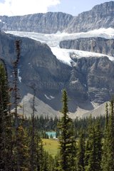 Crowfoot Glacier for the Icefields Parkway Canada