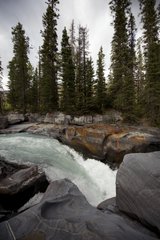 Numa falls in Kootenay NP Canada