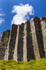 Gerduberg basalt columns Iceland