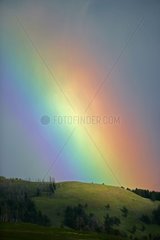 Rainbow Lamar Valley Yellowstone National Park Wyoming