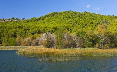 Krka River in autumn Dalmatia Croatia