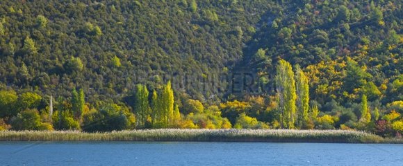 River Krka in autumn Dalmatia Croatia
