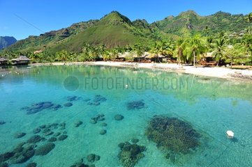 French Polynesia Moorea lagoon